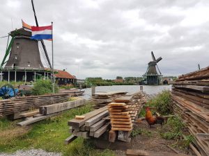 WhatsApp Image 2018-10-31 at 13.32.45 (1)