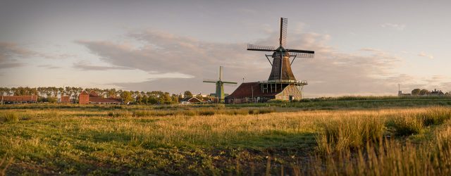 Zaansche Molens Headers Home