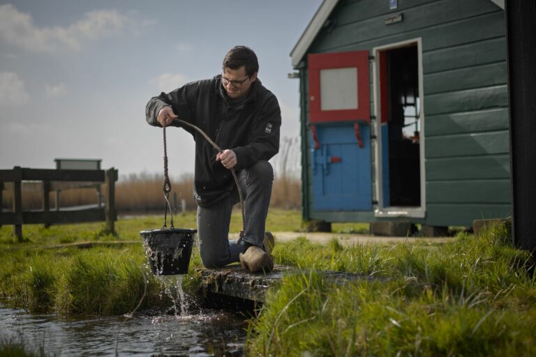 Thema vier: molens in de herfst