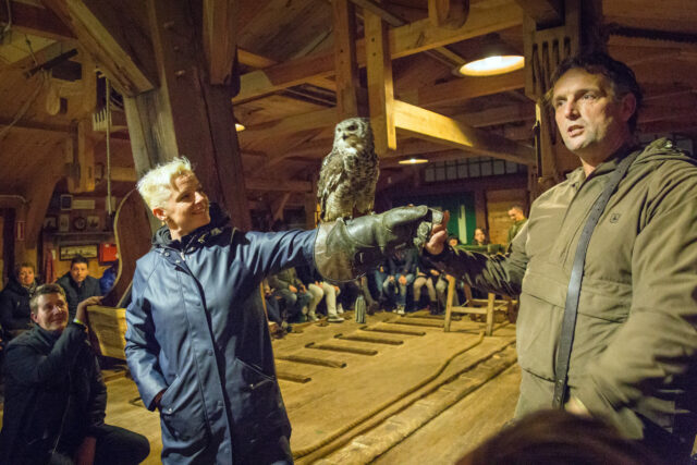 Uilen in de molen