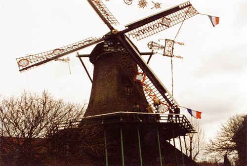Het Pink mooigezet ter ere van 75-jarig jubileum van De Zaansche Molen Koog aan de Zaan. Oliemolen het Pink. In het jaar 2000 werd gevierd dat De Zaansche Molen 75 jaar bestond.