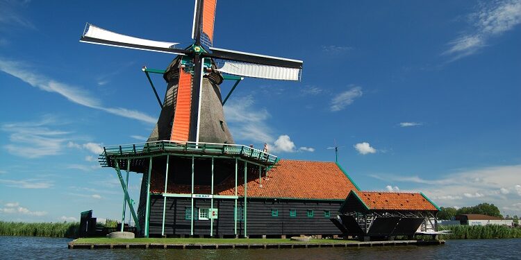 de kat klein formaat