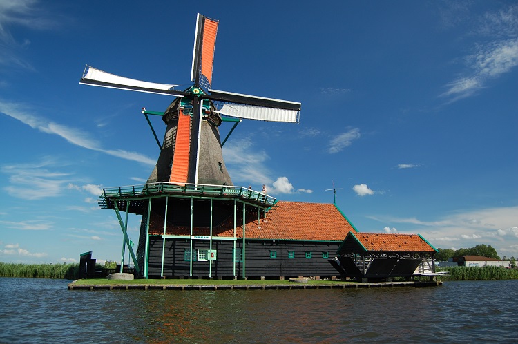 de kat klein formaat