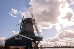 Het Jonge Schaap in beweging